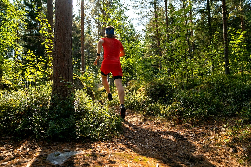 Afbeelding bij 11e Kwintelooyen Run